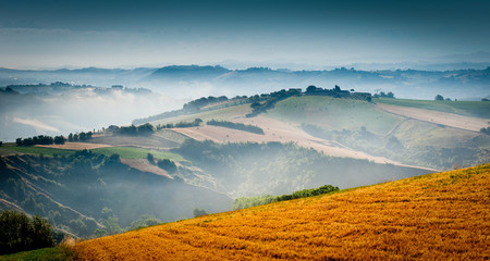 beautiful countryside in the soft morning mist