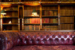 Leather sofa and retro library
