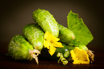 Canvas Print - Cucumbers on black