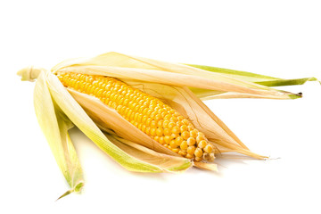 Wall Mural - Corn cobs isolated