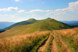 Bieszczady, Połonina Wetlińska