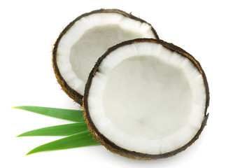 Sticker - Coconut with leaves