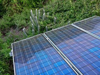 tropical solar cells