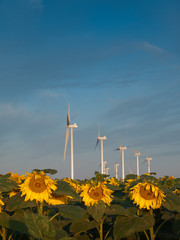 Sticker - Wind turbines and sunflowers