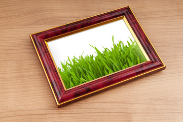 Wall Mural - Green grass on the photo frame