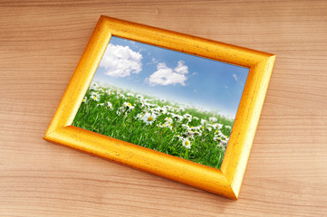 Wall Mural - Camomiles field on picture frame