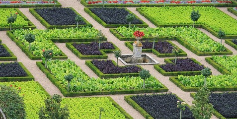 Canvas Print - Garten von Schloss Villandry