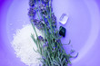 Spa treatment with lavender and minerals