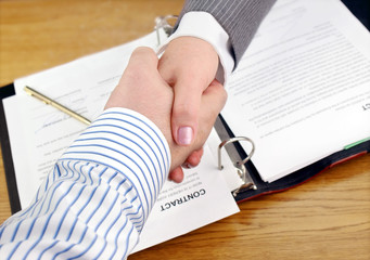 Aufkleber - Closeup of businessmen and businesswoman shaking hands