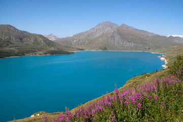 Fototapete - Moncenisio-Lago alpino