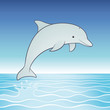 Vector cute jumping dolphin cartoon character