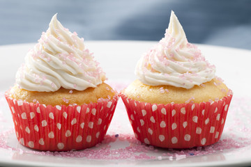 Poster - Two Vanilla Cupcakes