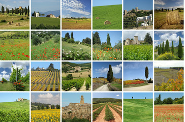 Wall Mural - collage with wonderful tuscan scenery