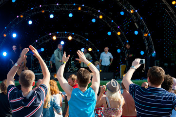 Wall Mural - Crowd of fans at a concert