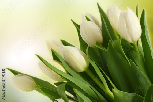Dekoracja na wymiar  zdjecie-tulipanow