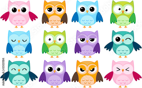 Naklejka na meble Set of 12 cartoon owls with various emotions