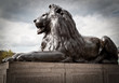 Bronze sculpture of a lion in Trafalgar Square, London