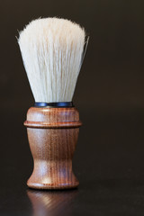 Brush