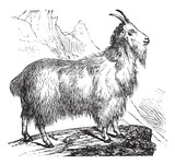 160_f_35064369_gw6jtx46quwpe909wsagq2rzzyeufkcb