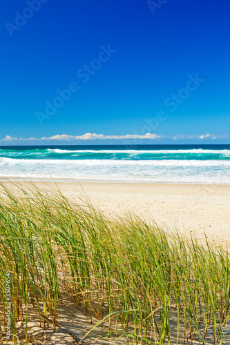 Fototapeta na wymiar Grass and sandy beach on the Gold Coast Queensland
