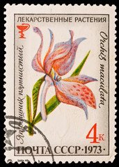 USSR - CIRCA 1973:  Orchis maculata L., series herbs