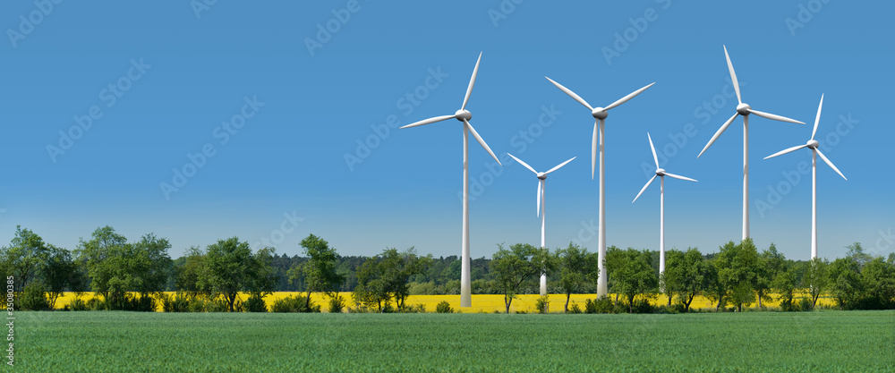 Windkrafträder in einem Rapsfeld hinter einer Allee - obrazy, fototapety, plakaty 