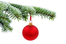 Christmas Tree And Red Glass Ball