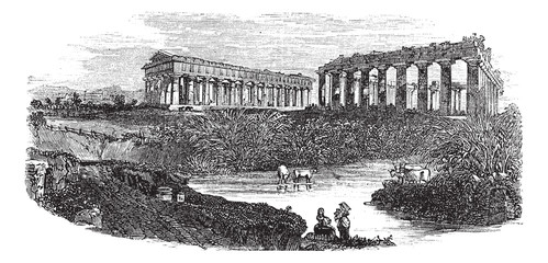 Wall Mural - The ruins of temples at Paestum in Campania Italy vintage engrav