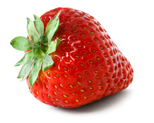 Poster - strawberry