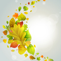 Wall Mural - Autumn background