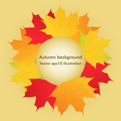 Wall Mural - Vector autumn background with maple leaves
