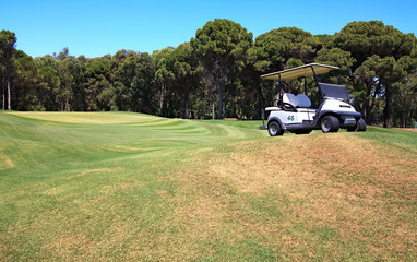 Buggy on the field for golf.