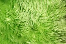 Green Fur Background