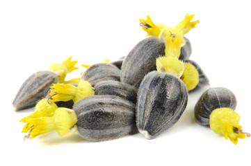 Sticker - Sunflower Seeds with Corollas Isolated on White Background