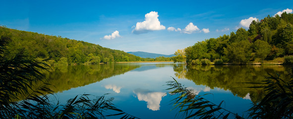 Wall Mural - Summer forest lake with mirror reflection