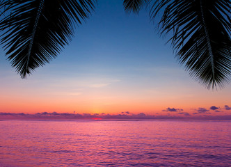 Poster - Jungle Landscape Sea