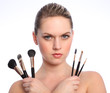 © Darrin Henry - Beautiful make up artist with cosmetic brushes