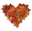 © cienpies - Autumn leaves isolated heart