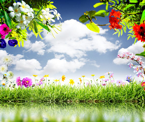 Wall Mural - moment for this beautiful flower blue sky