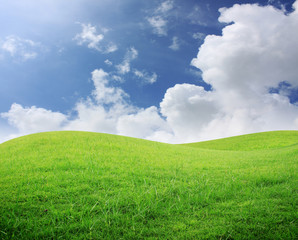 Wall Mural - green field