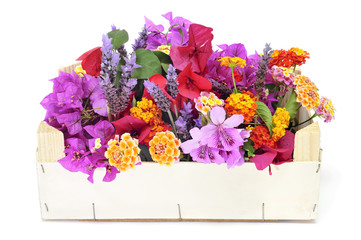 Poster - crate with spring flowers