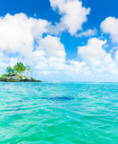 Scene Corals Water