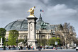 Parisian Grand Palais