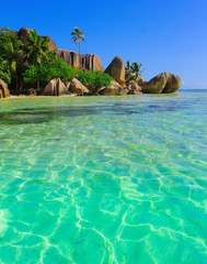 Ocean Paradise Seascape