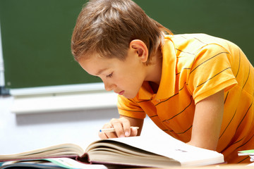 Wall Mural - Reading lad