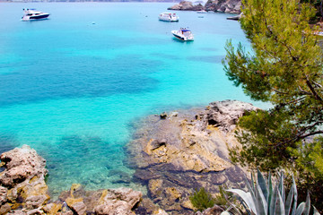 Canvas Print - Calvia Cala Fornells turquoise mediterranean in Majorca