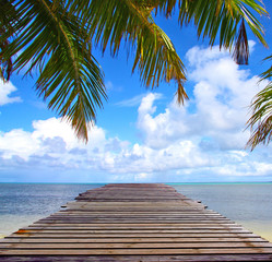 Wall Mural - Sea Landscape Horizon