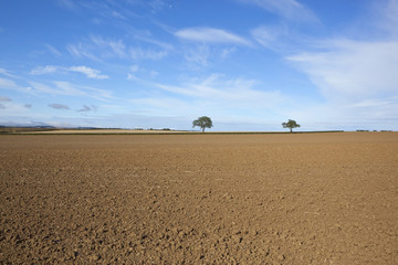 Poster - cultivated fields