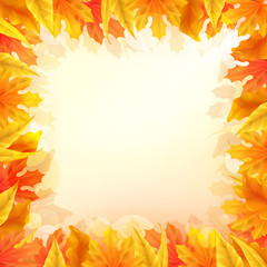 Wall Mural - autumn leaves background