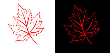 Red Sheet Of A Maple On A White And Black Background